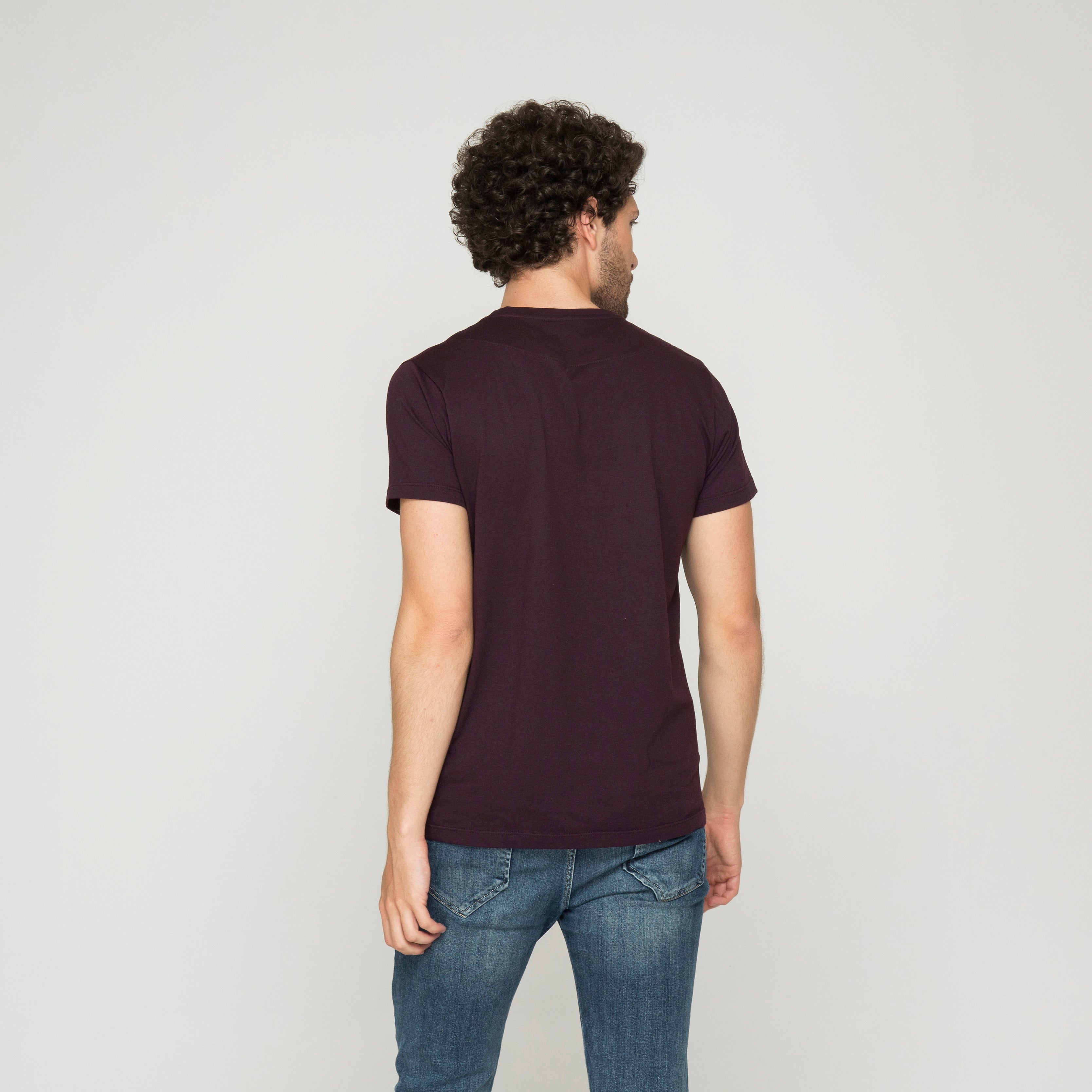 CAMISETA BÁSICA ALGODÓN BERENJENA_04093