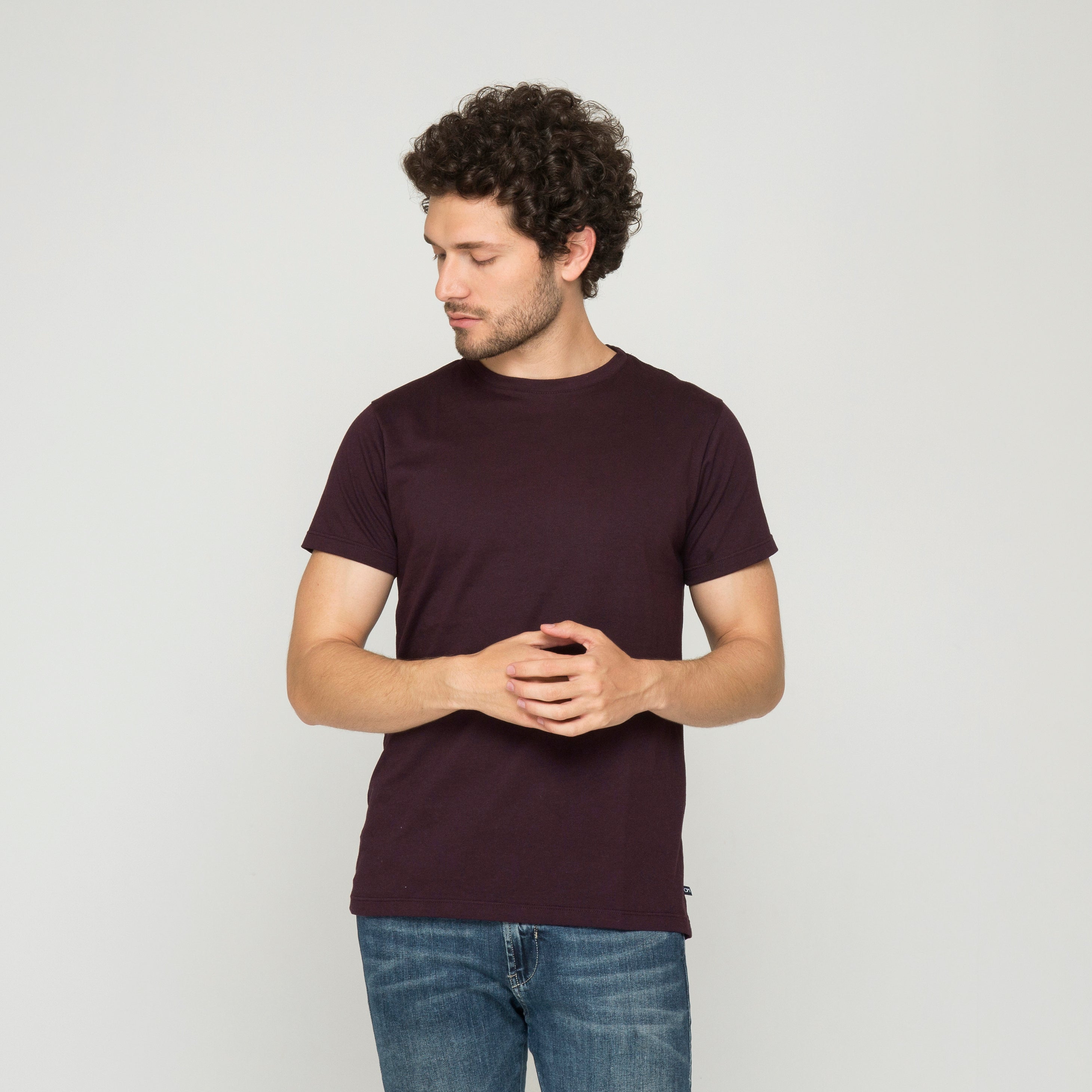 CAMISETA BÁSICA ALGODÓN BERENJENA_04093