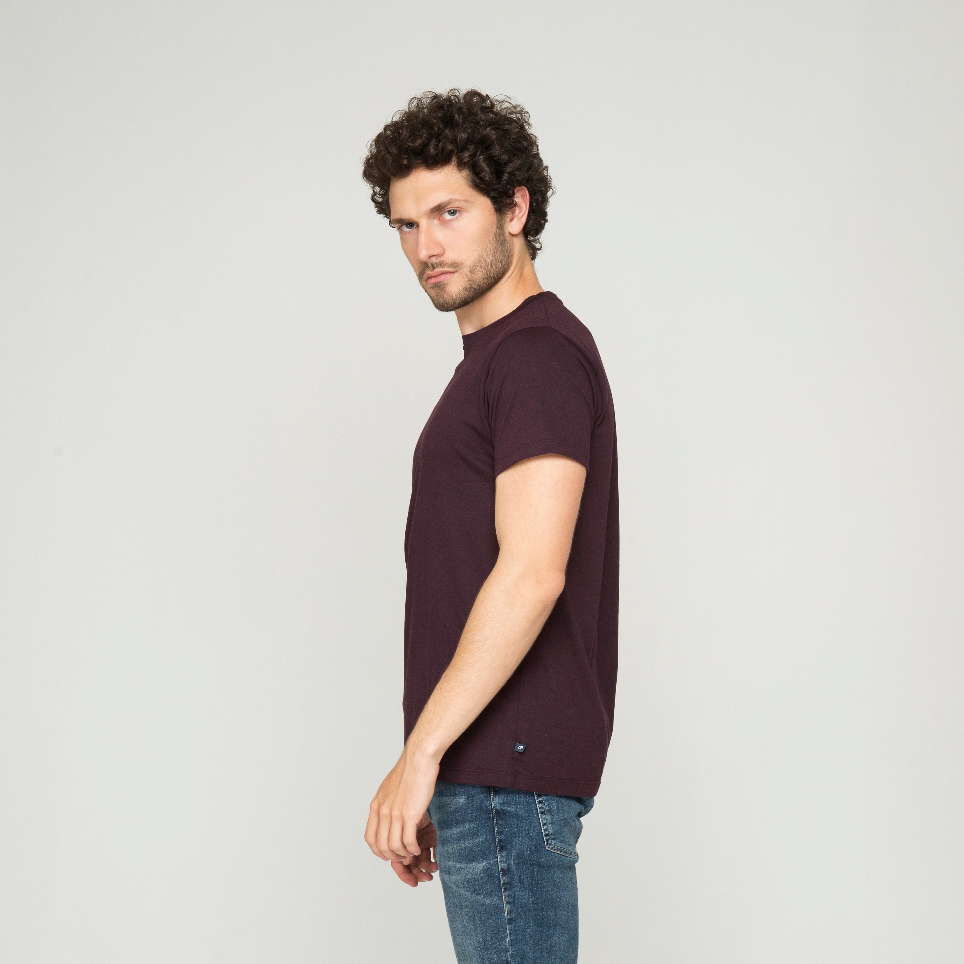 CAMISETA BÁSICA ALGODÓN BERENJENA_04093